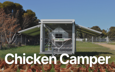 Chicken camper